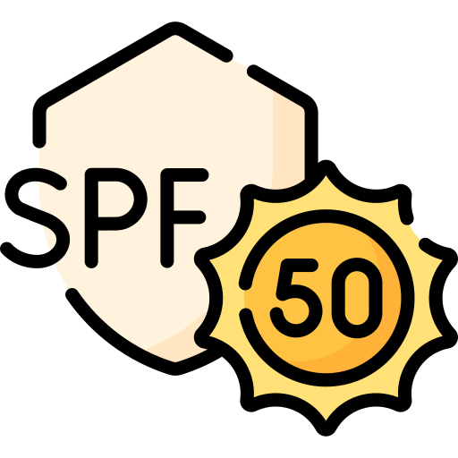 SPF Belgesi